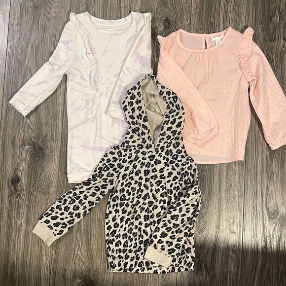 Other - Little girls long sleeve bundle.